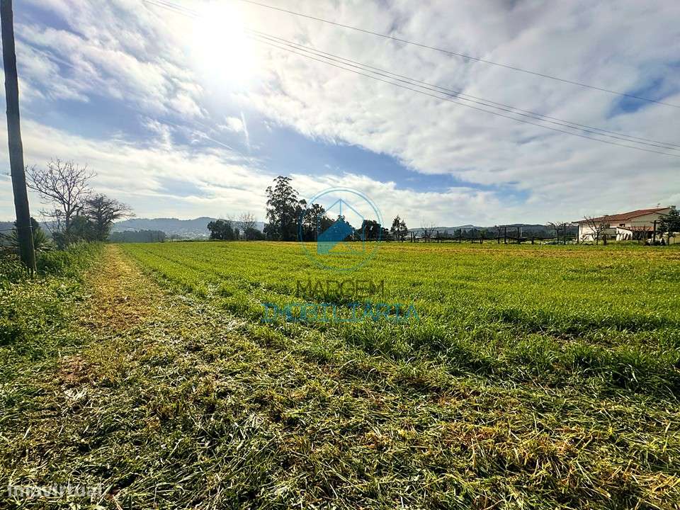 Terreno construção e cultivo – 6000m2 c/moradia devoluta-26