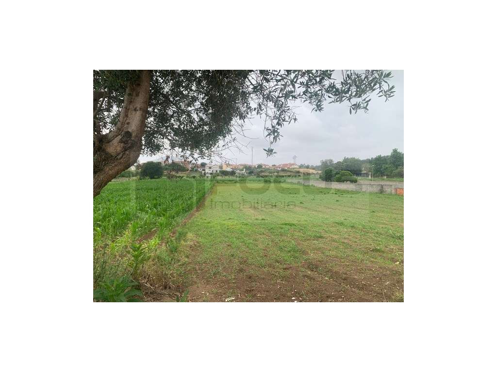 Terreno para moradia isolada em Eixo - Aveiro - Grande imagem: 5/23