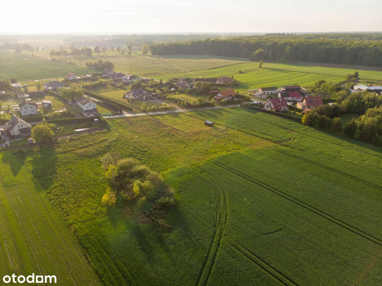 Działki Sieroczyn budowlane