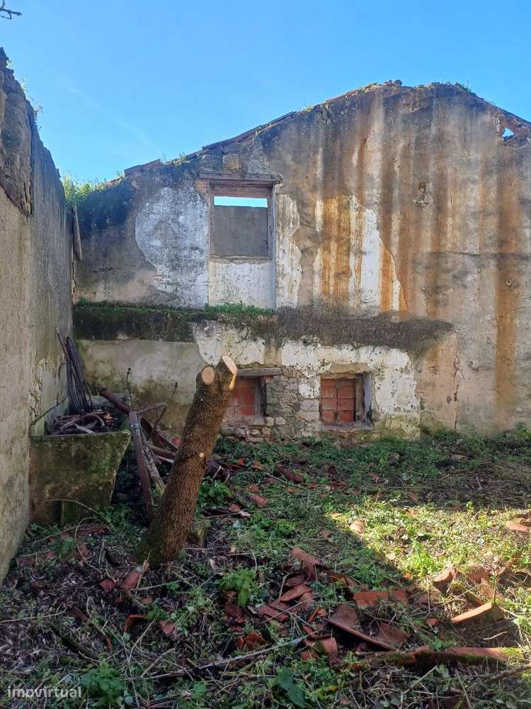 Arrecadação em terreno urbano em Almoster - Grande imagem: 2/6