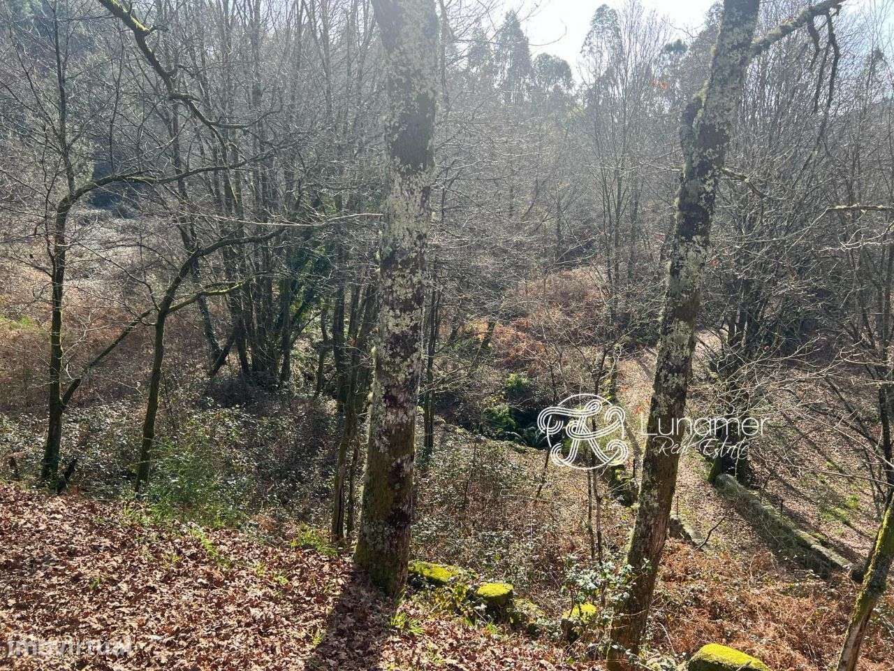 Terreno em Mosteiro, Vieira do Minho - Grande imagem: 5/7