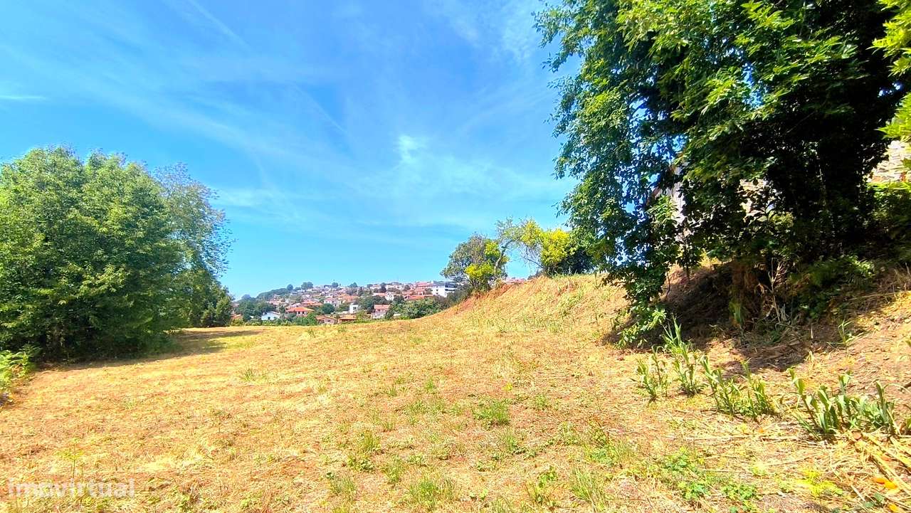 Quinta com 19000 m2 nas margens do Douro-16