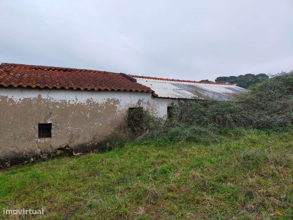 QUINTA COM 5HA DE TERRENO COM 500M2 URBANO - GALVEIAS - PONTE DE SOR-12