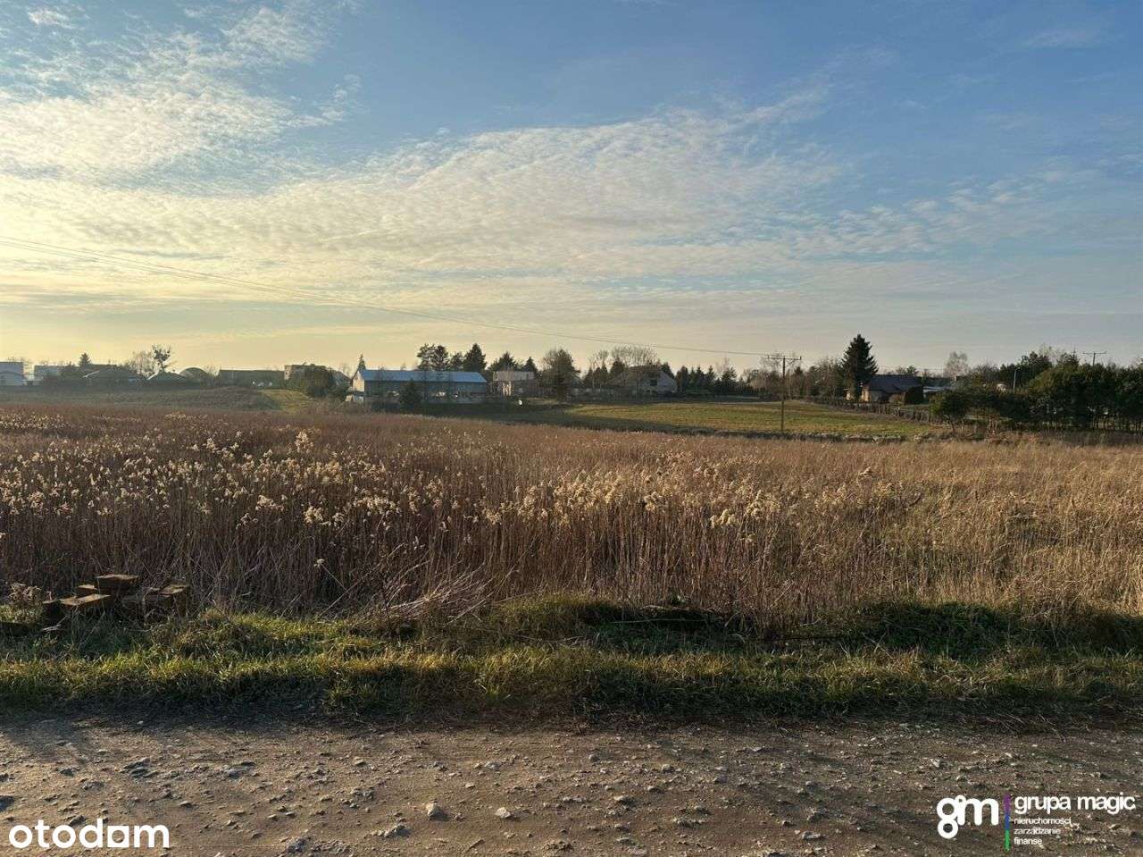 Grunty- Łubianka - Pełny obrazek: 4/8