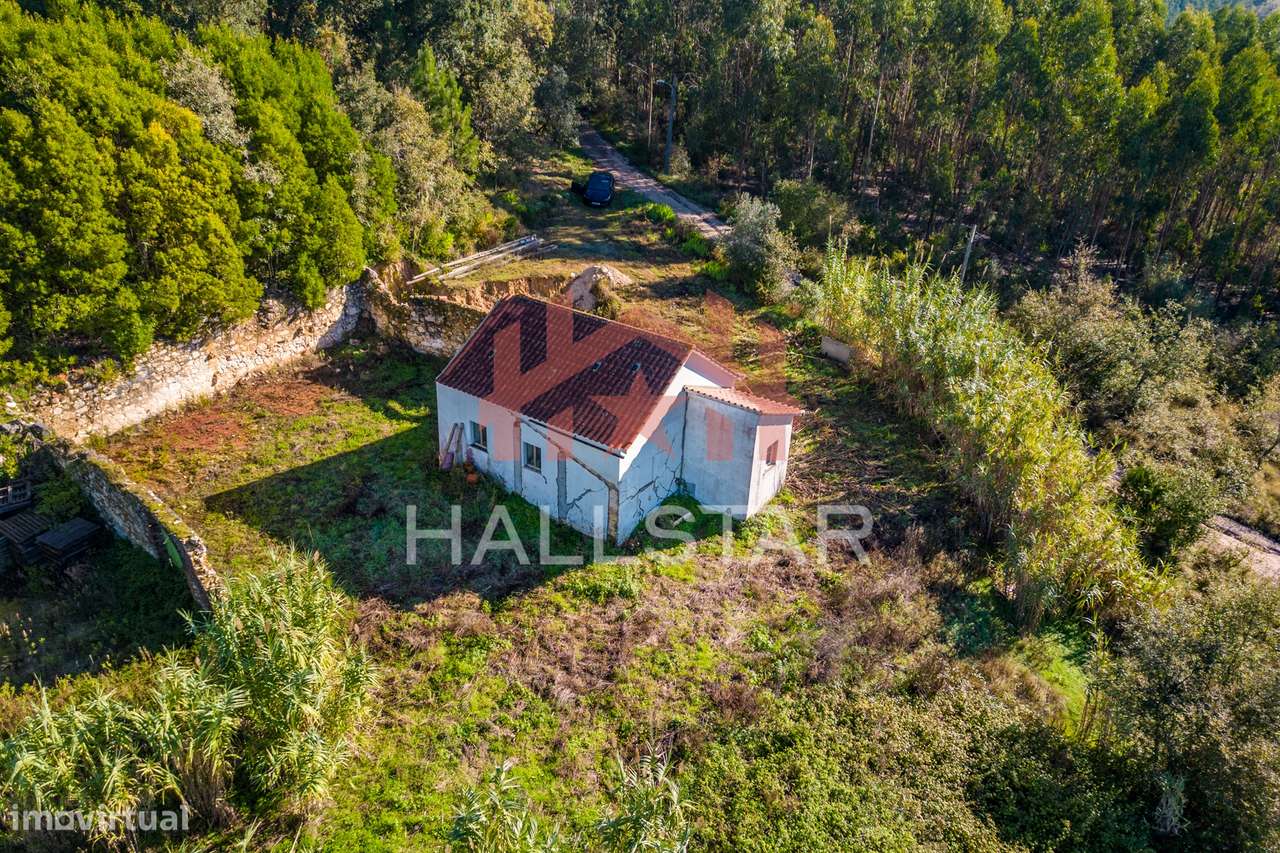 Quinta T3 em Remodelação / Terreno com 9.323m2 / Boa Vista-20