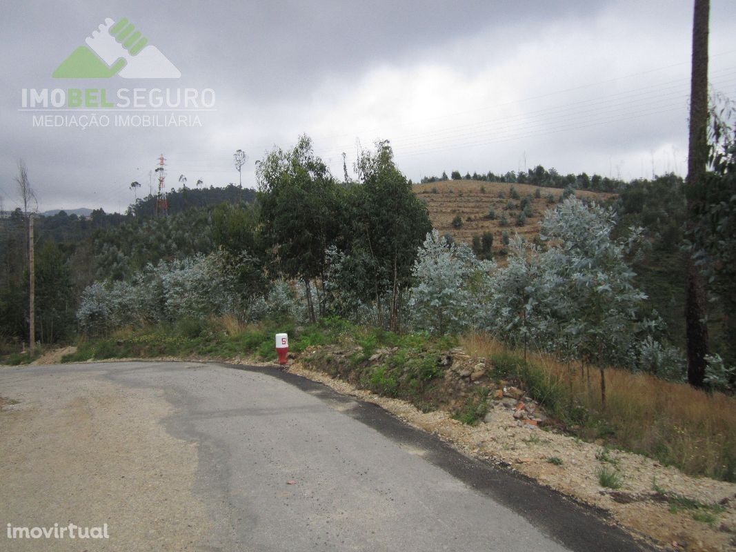 Lotes de Terreno em Canedo (NOVO VALOR)