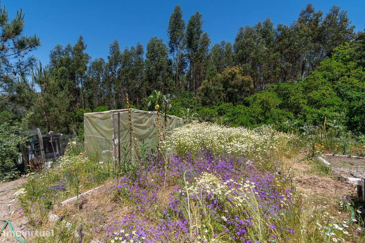Viver de uma forma Ecológica em Terreno Panorâmico em Calde, Viseu-18