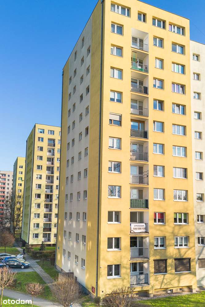 3 pokojowy Apartament 100 m od Parku po generalnym remoncie 2 piętro - Pełny obrazek: 2/20