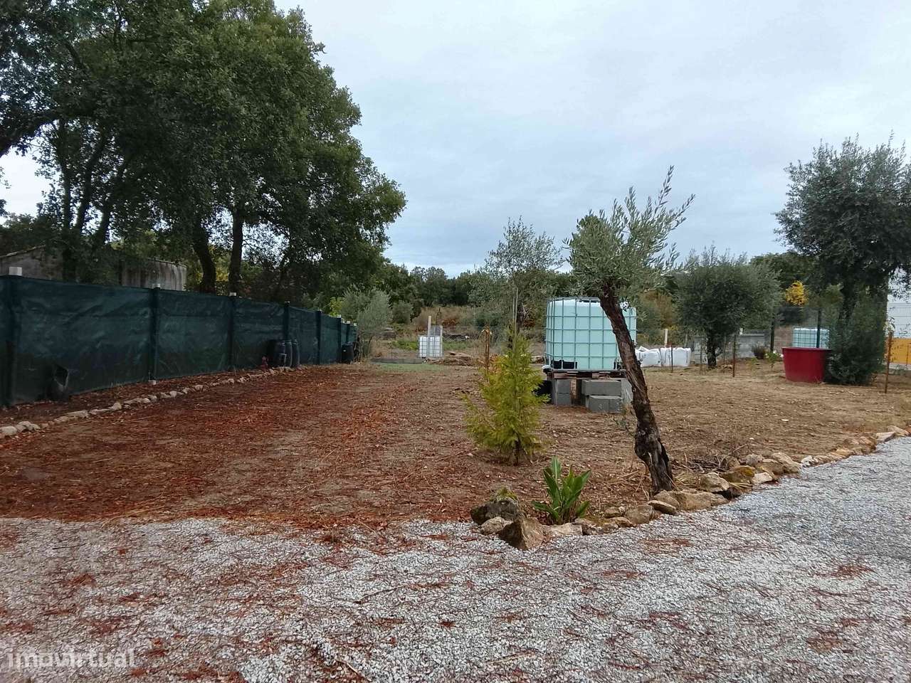 Quinta c/olival c/construção rural recuperada Póvoa de Rio de Moinhos. - Grande imagem: 5/19