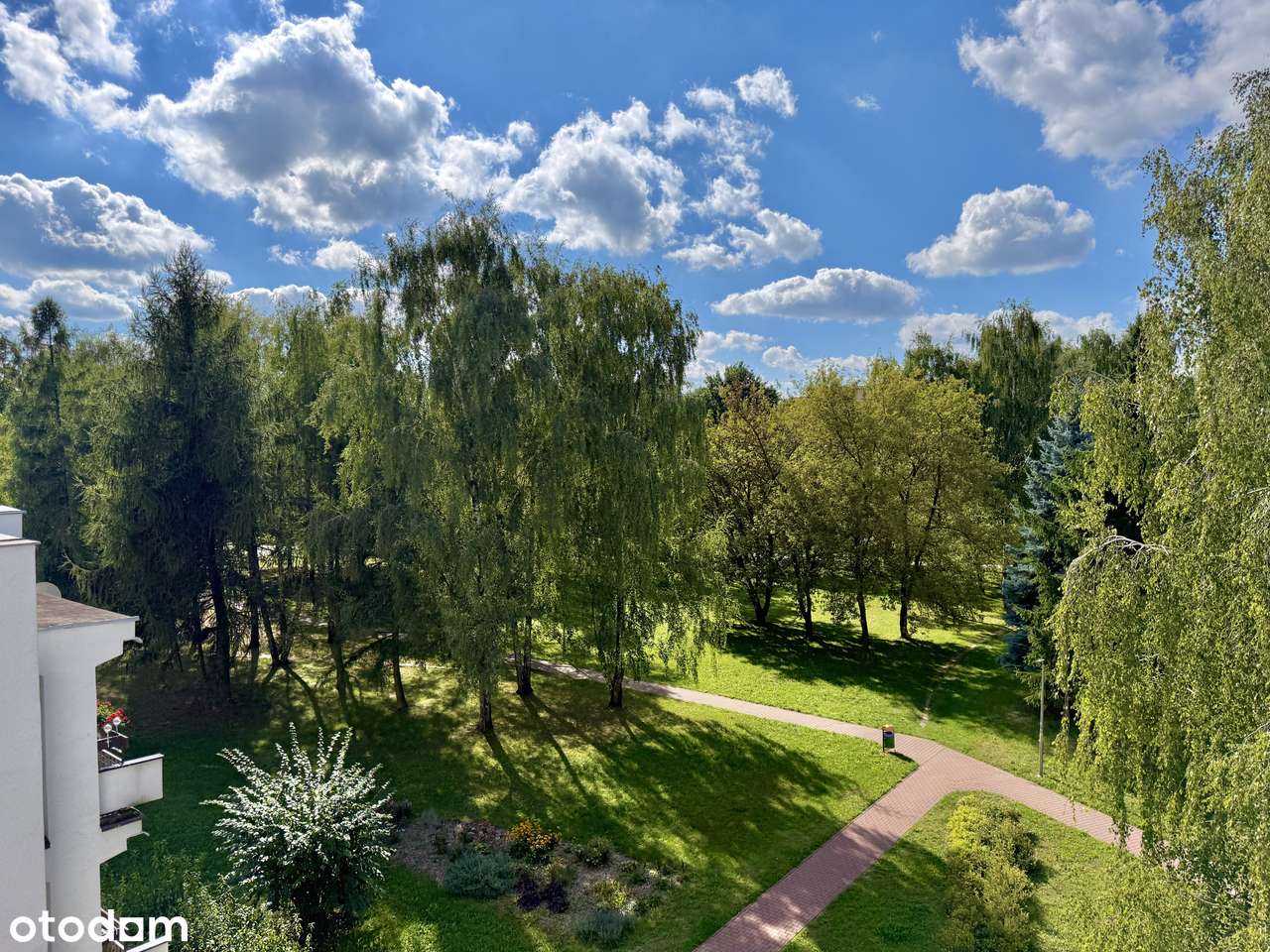 4 pokoje na Czechowie, do zameszkania - Pełny obrazek: 4/12