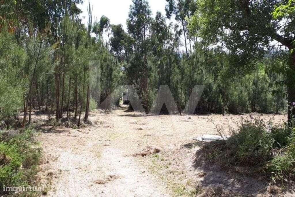 Terreno junto ao Belas Clube de Campo na Tapada de Vale de Lobos - Grande imagem: 4/9