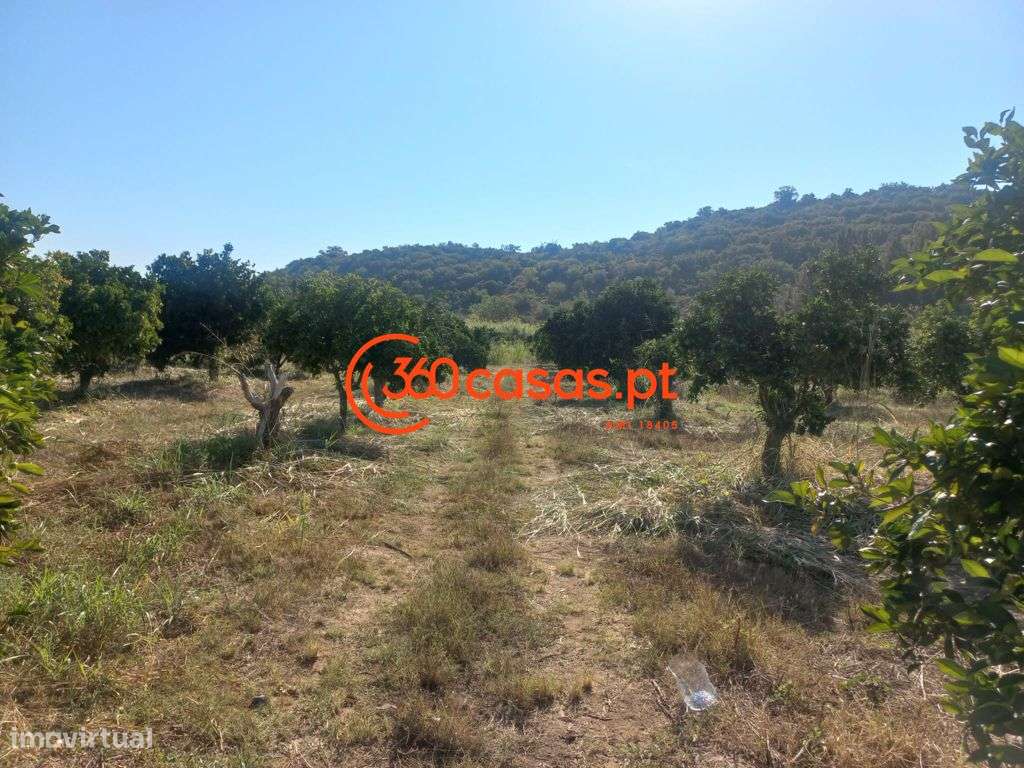 Quinta para venda em Tavira, Algarve - Grande imagem: 5/57