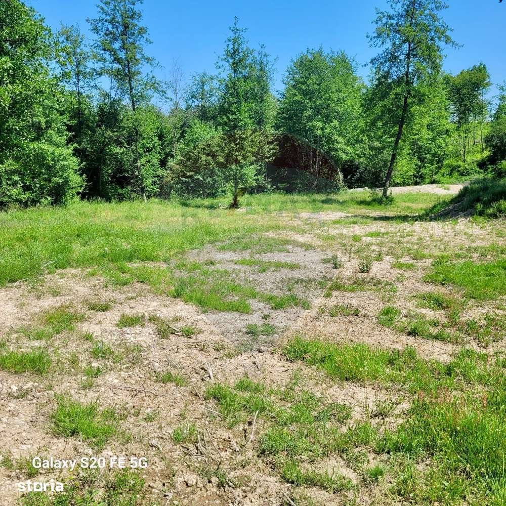 Oază de liniște – teren de vânzare 6.725 mp-5