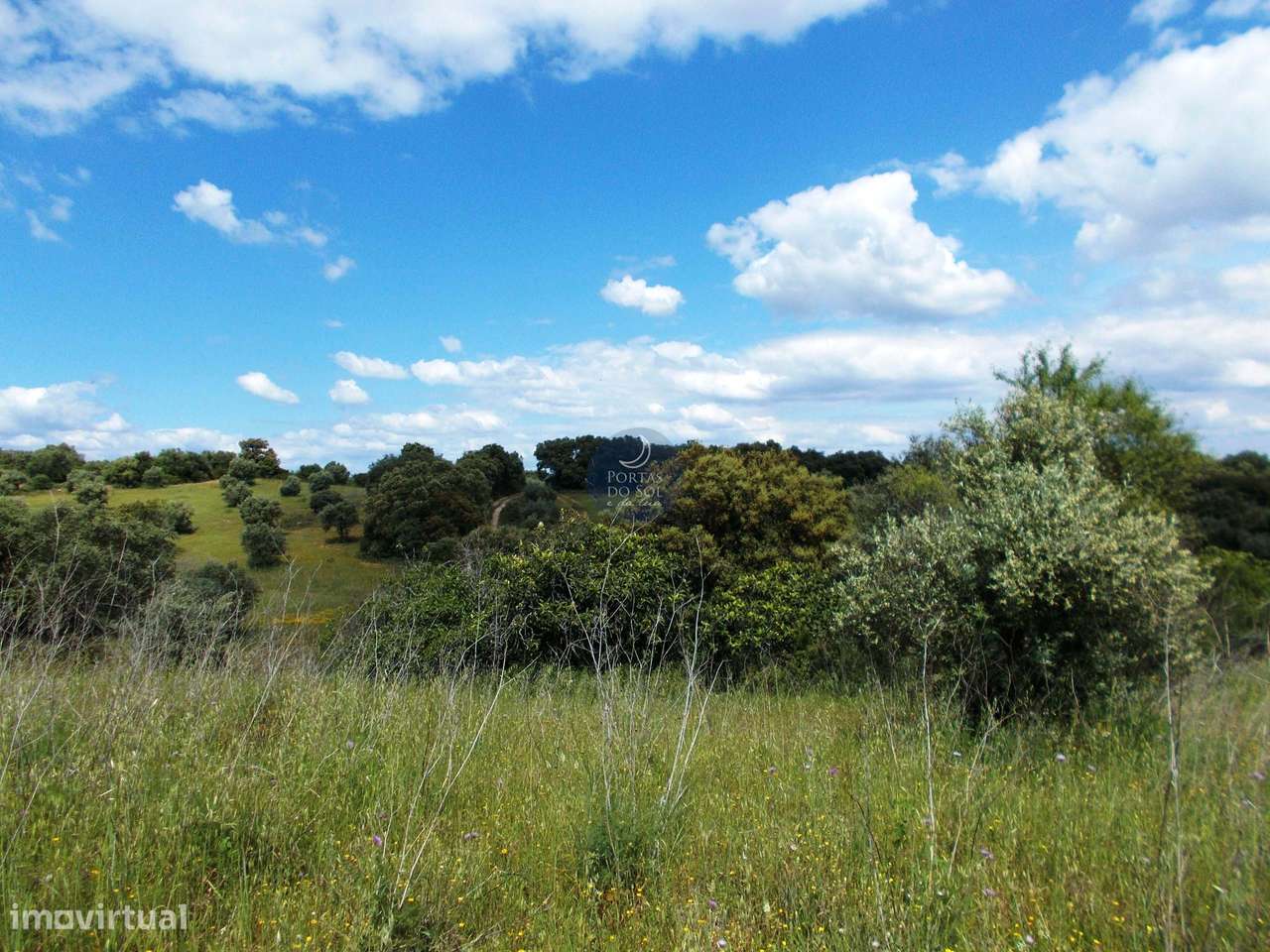 Terreno comercial de 13.800 m2 c/ poço - Grande imagem: 5/10