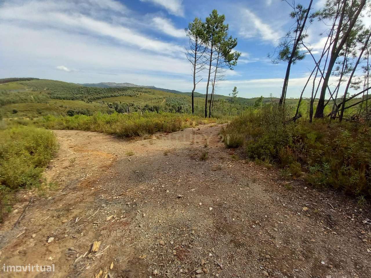 Terreno com 17040m2 em Sobral do Campo - Grande imagem: 4/9