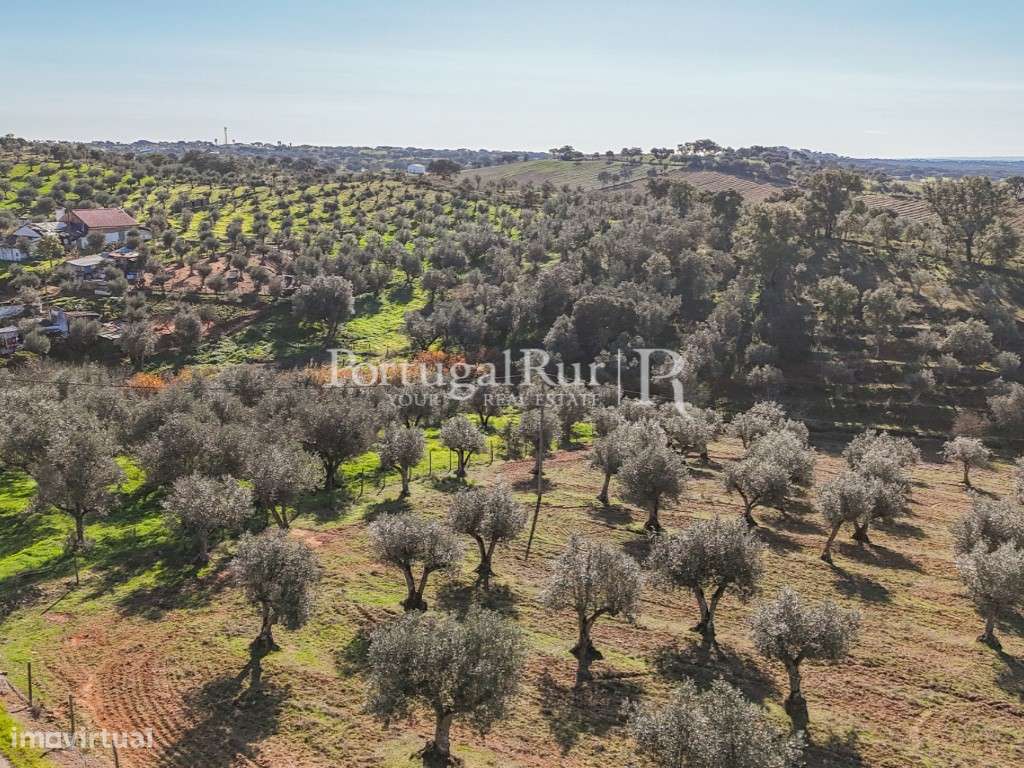 Monte alentejano para recuperar - Grande imagem: 5/10