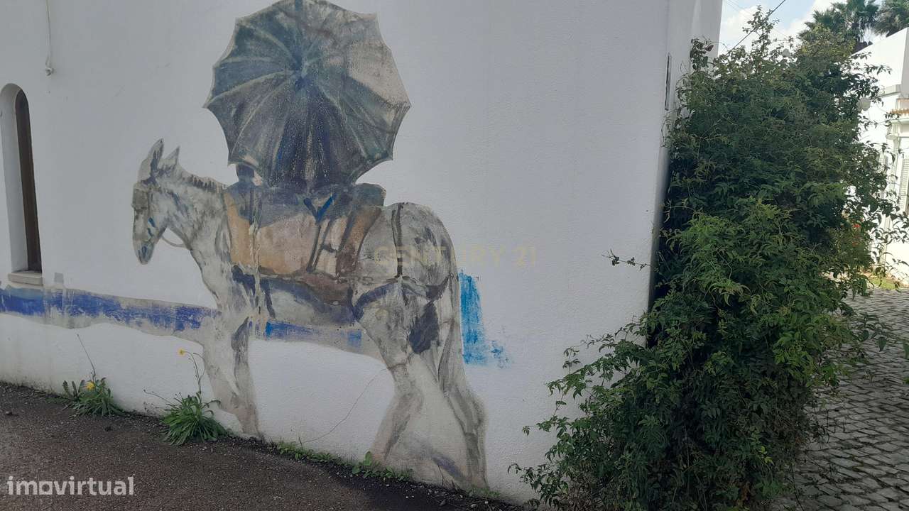 Terreno Rústico em Alfontes, Boliqueime - Grande imagem: 4/16