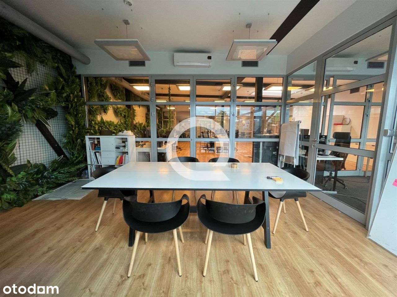 Biuro Na Żabiance Do Wprowadzenia - Pełny obrazek: 4/11