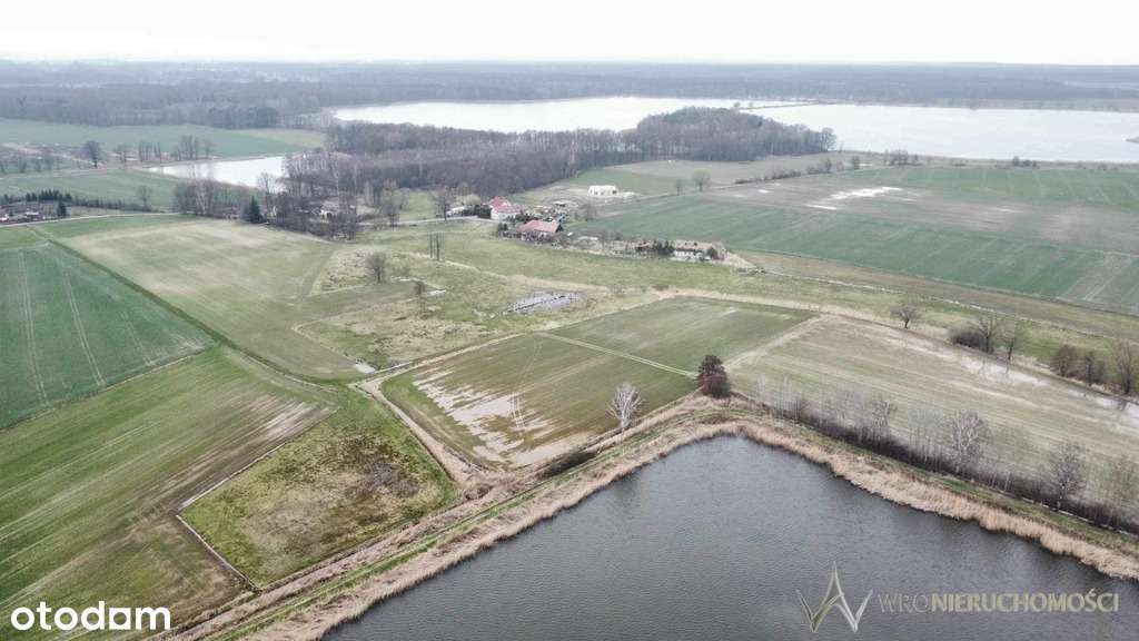 Duża działka budowlana | Widok na staw - Pełny obrazek: 5/6