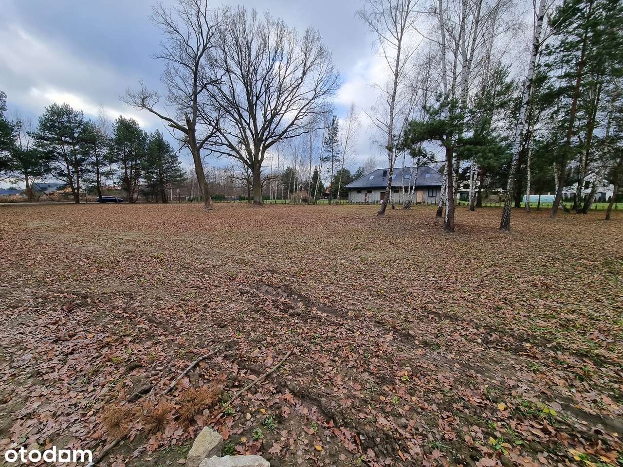 Zadrzewiona działka budowlana z MPZP - zabudowa mieszkaniowa-1