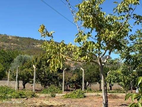 Vende-se terreno em zona urbana com cerca de 5.000m2 Baixa de Palme...-19