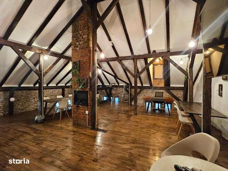 Vilă reprezentativă Sala Radio/Parcul Cismigiu - Imagine principală: 4/14