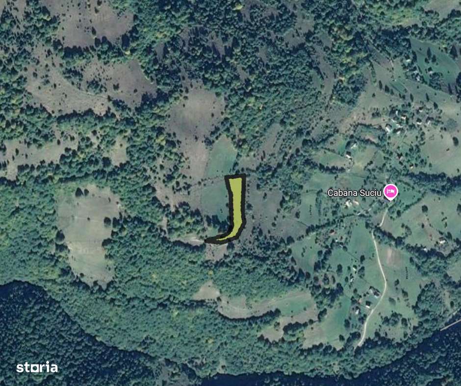 Teren Intravilan Pajiste si Padure-3