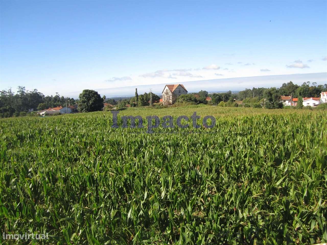 Terreno em Cucujães, Oliveira de Azeméis - Grande imagem: 5/10