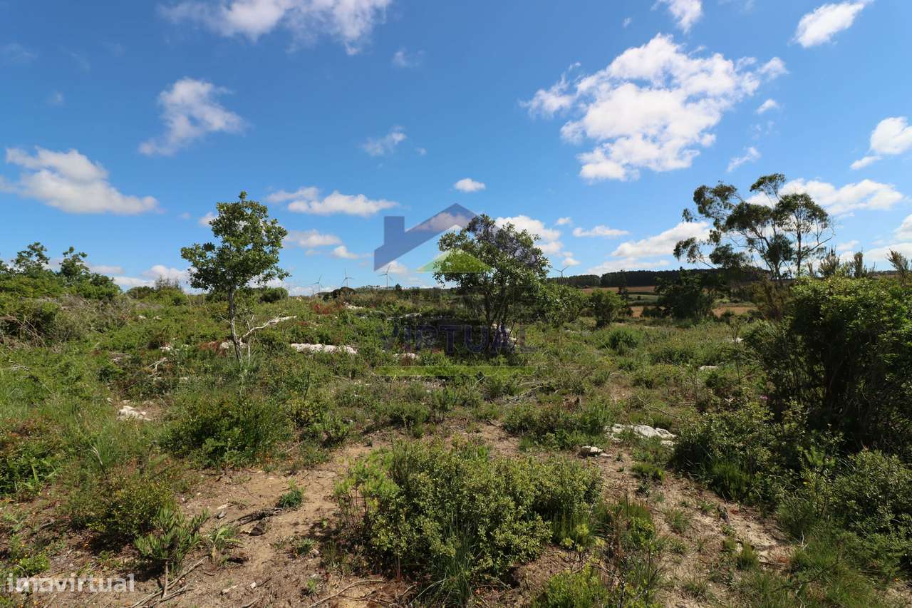 Terreno Rústico c/ 16.520 m2 Reguengo Pequeno - Lourinhã-26