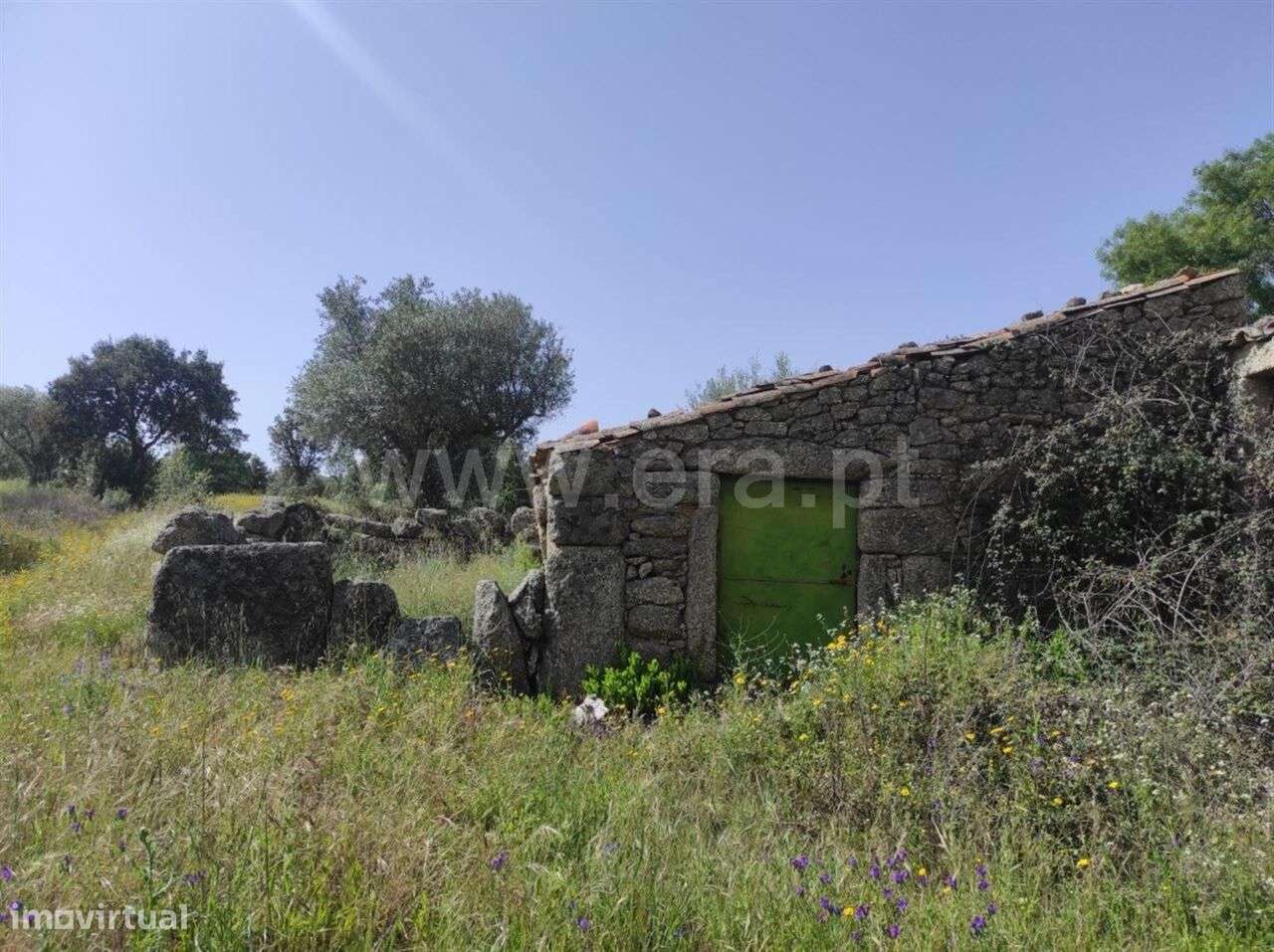 Quinta Estúdio / Fundão, Orca - Grande imagem: 2/12