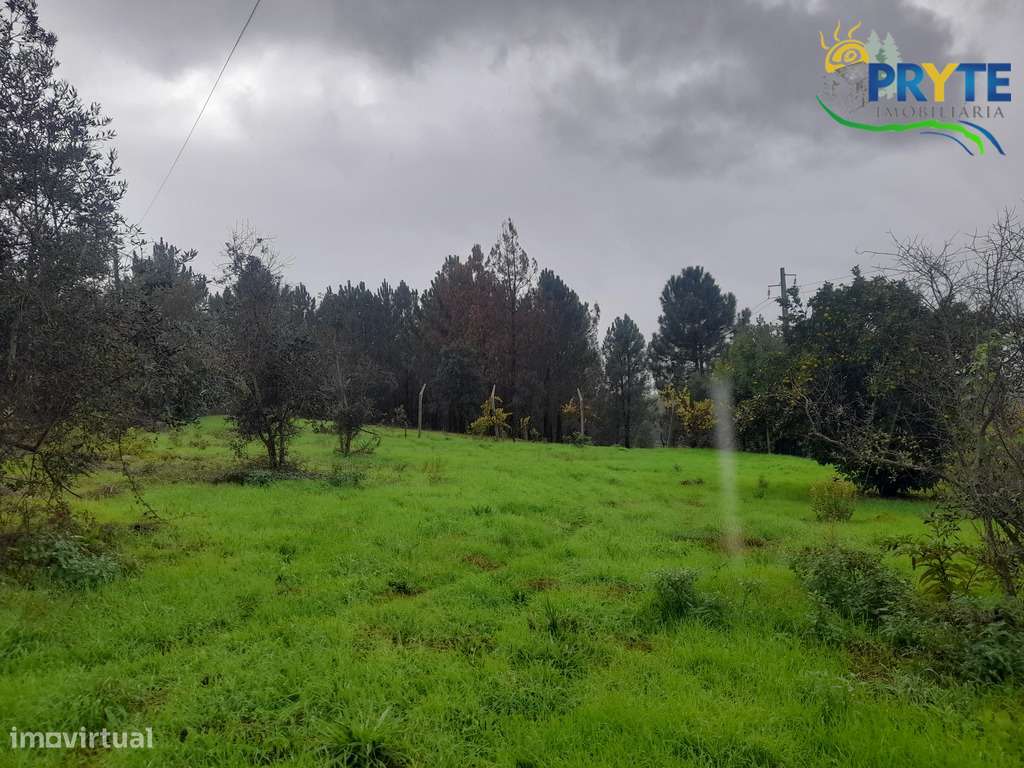 Moradia de tipologia T2 situada a 5 minutos da Vila da Sertã-32