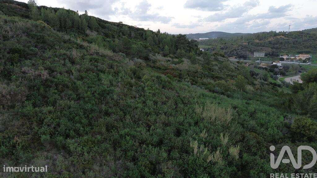 Terreno em Santa Maria, São Pedro E Matacães de 268,00 m2 - Grande imagem: 2/30