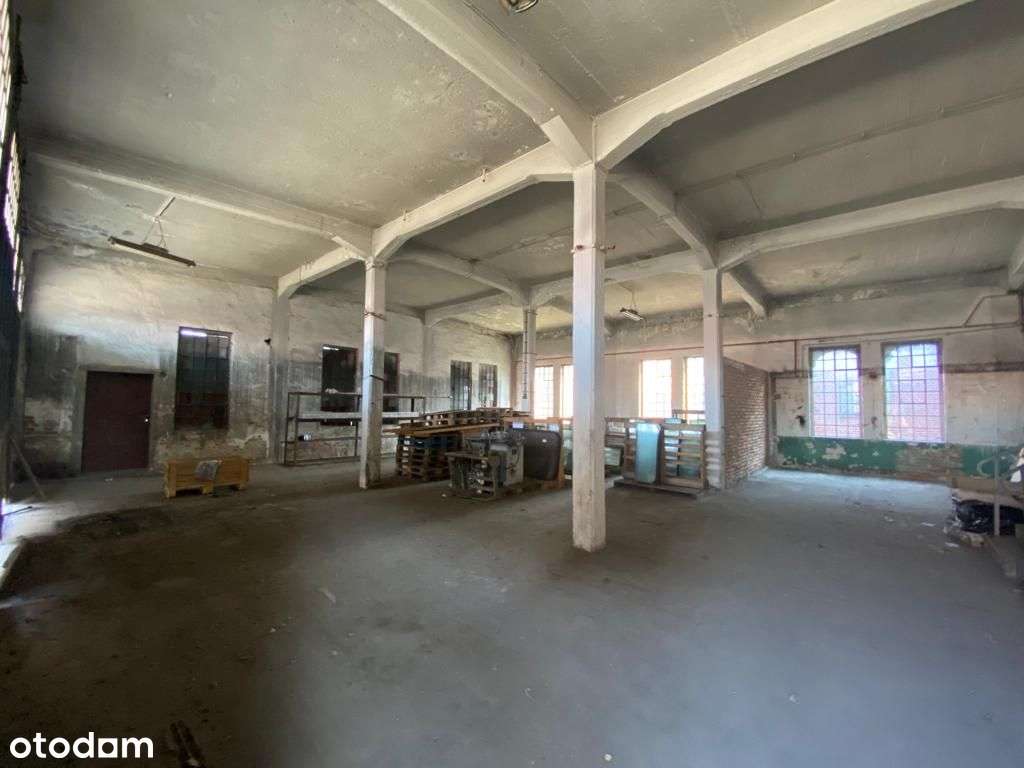 Kompleks hal magazynowych! NOWA CENA!!! - Pełny obrazek: 5/18