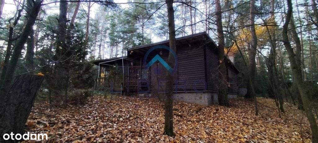 Dom w lesie dla 2 rodzin/ przyjaciół-5