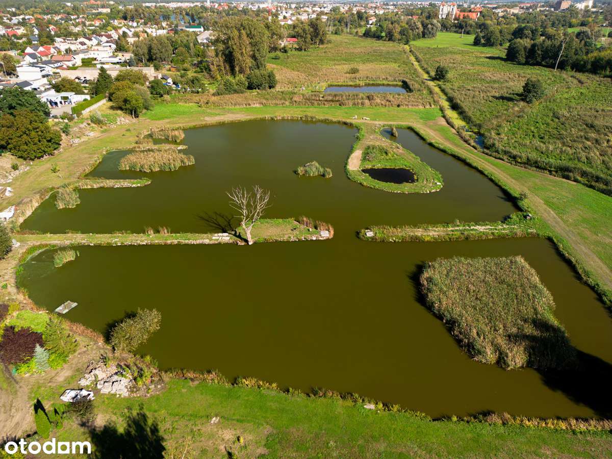 REZERWACJA | rekreacja | zieleń | staw | plan msc-4