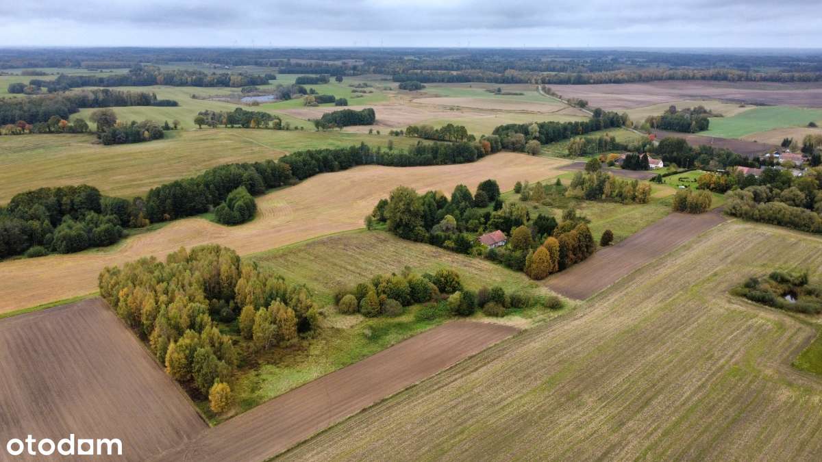 Siedlisko skąpane z zieleni z własnym stawem - Pełny obrazek: 4/17