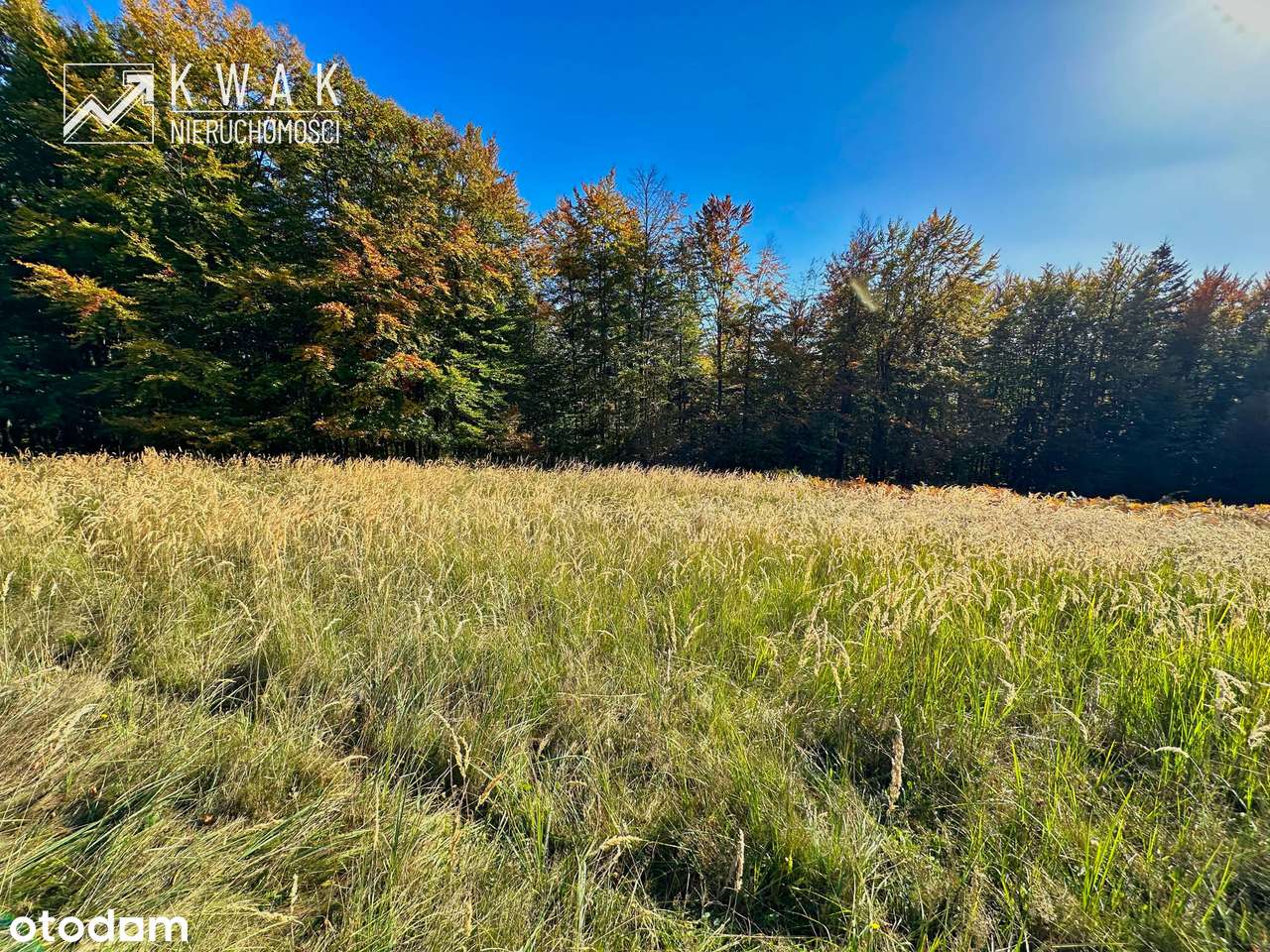 Działka pod Twój dom w górach Jeleśnia Janiki-14
