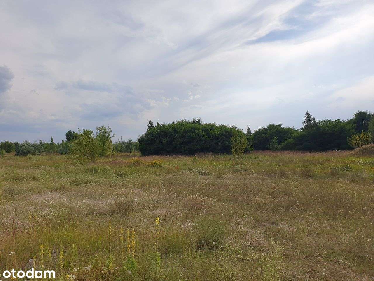 Działka zabudowa wielomieszkaniowa MPZP "3MW/U" - Pełny obrazek: 4/6