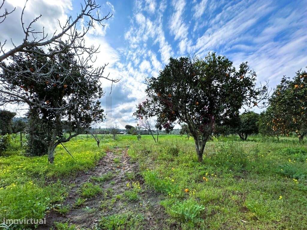 Monte Alentejano com uma moradia + Anexo, Cabeça Da Cabra, Perto de...-22