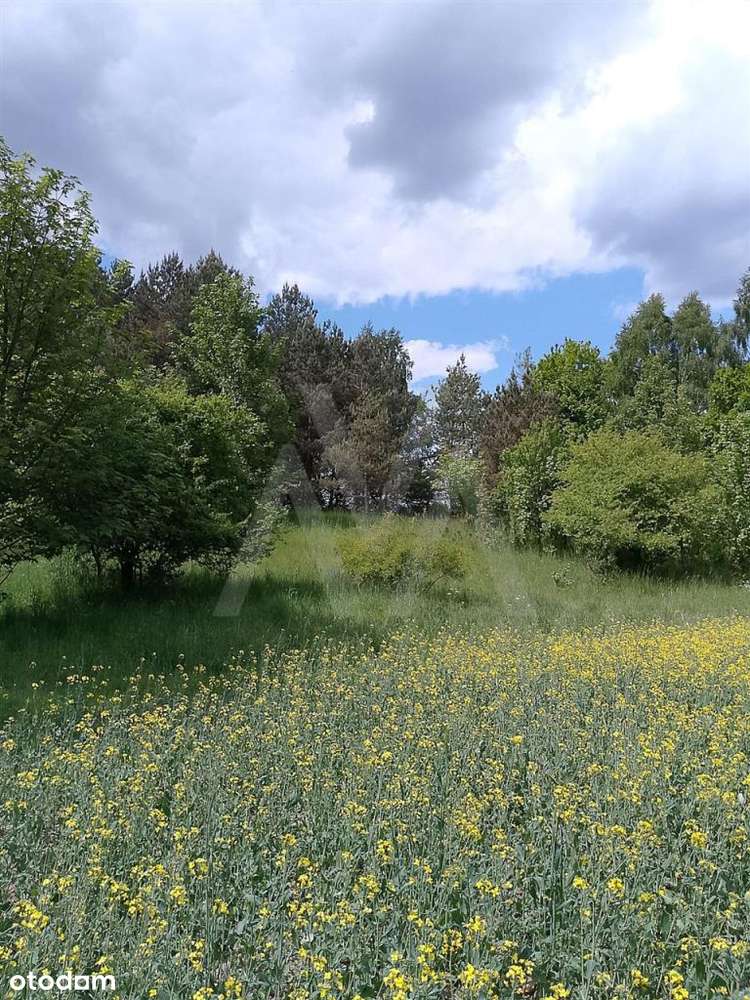 Działka budowlana - Graniczna Wieś - Pełny obrazek: 4/15