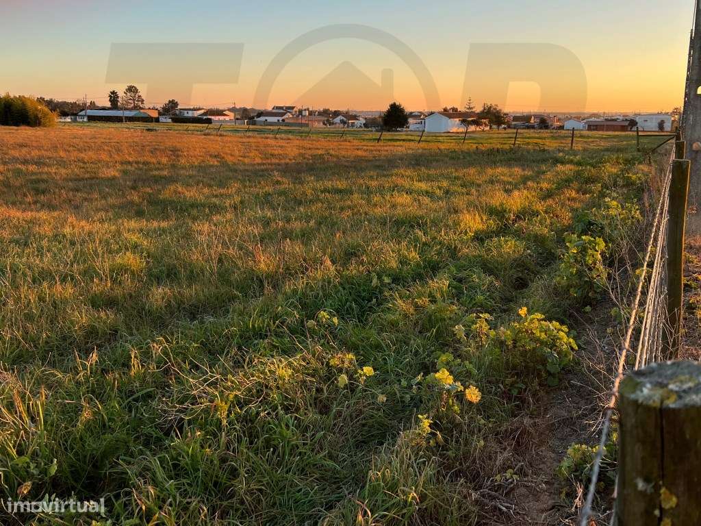 Terreno Urbanizável C/ 20.000m2 - Foros de Salvaterra - 320.000€ - Grande imagem: 4/5