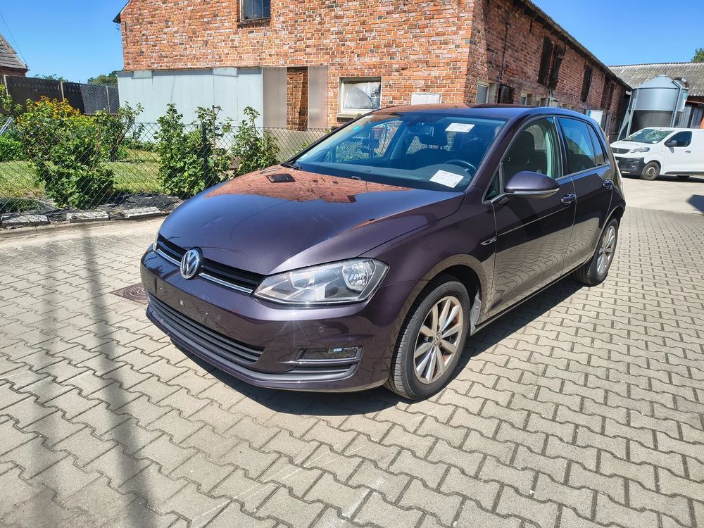 Volkswagen Golf VII (2012-2020) 2015