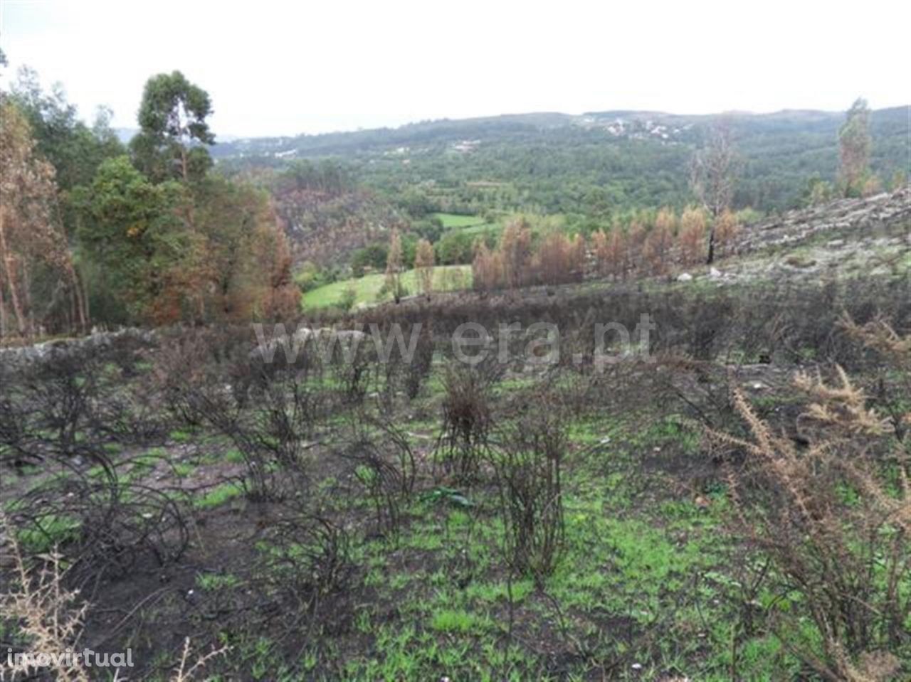 Fafe, Terreno Para Construção