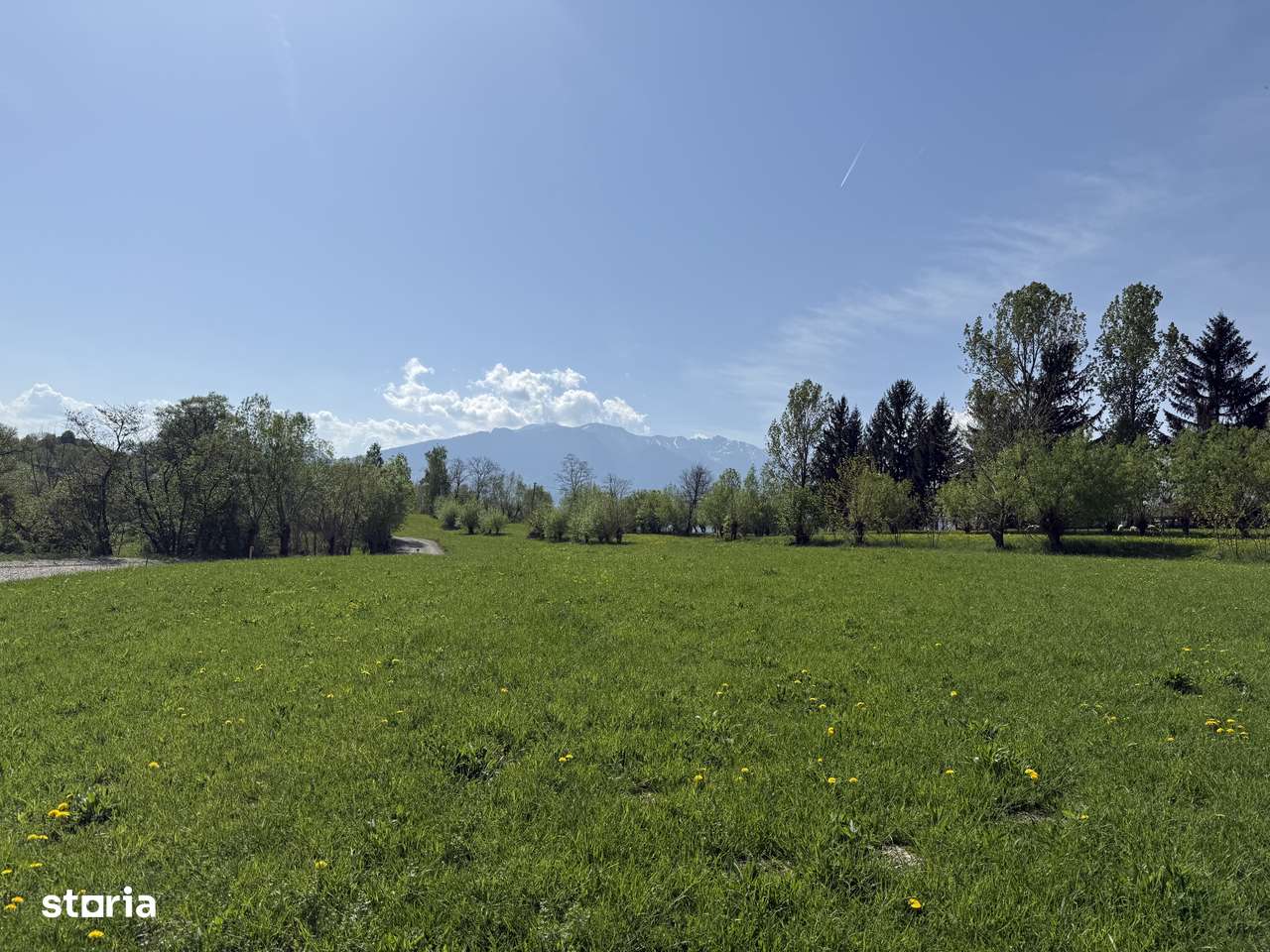 Teren intravilan zona Bran-Tohanita,judetul Brasov intre 500 si 1000 m - Imagine principală: 1/20