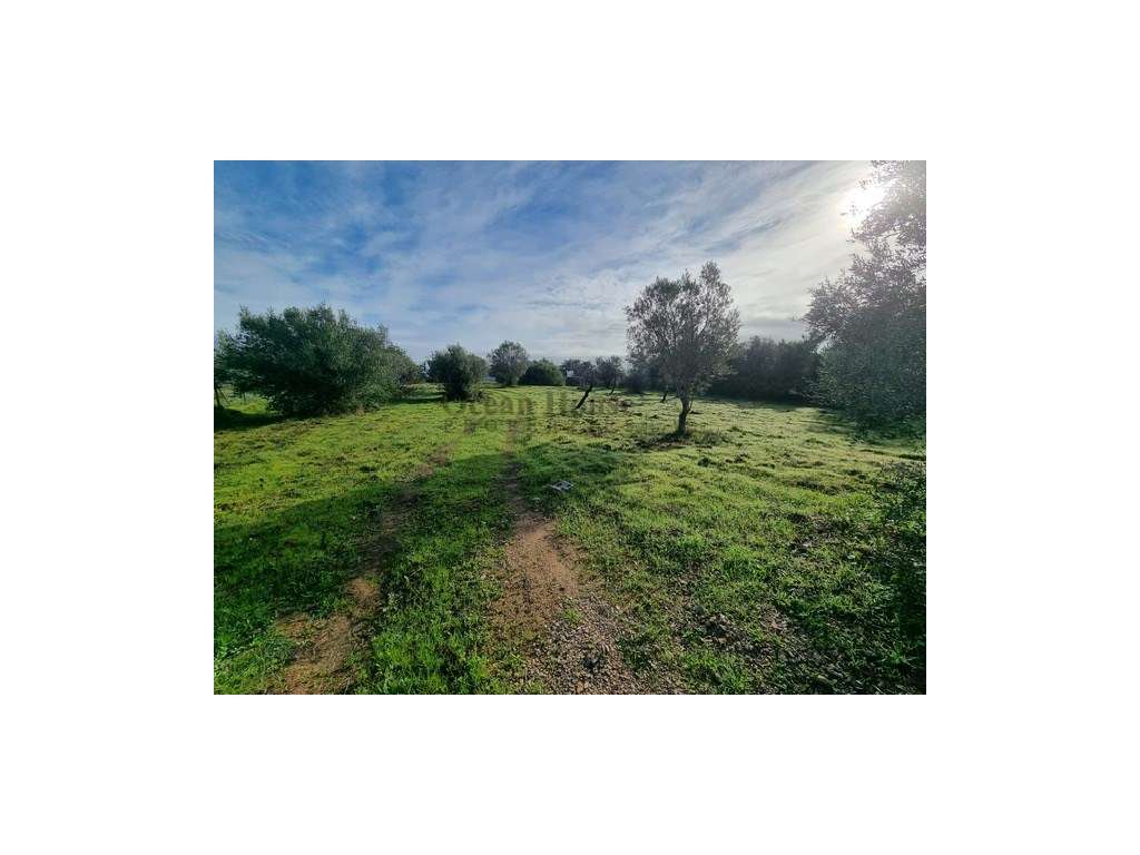 Terreno com projecto aprovado para moradia em Tôr - Loulé-7