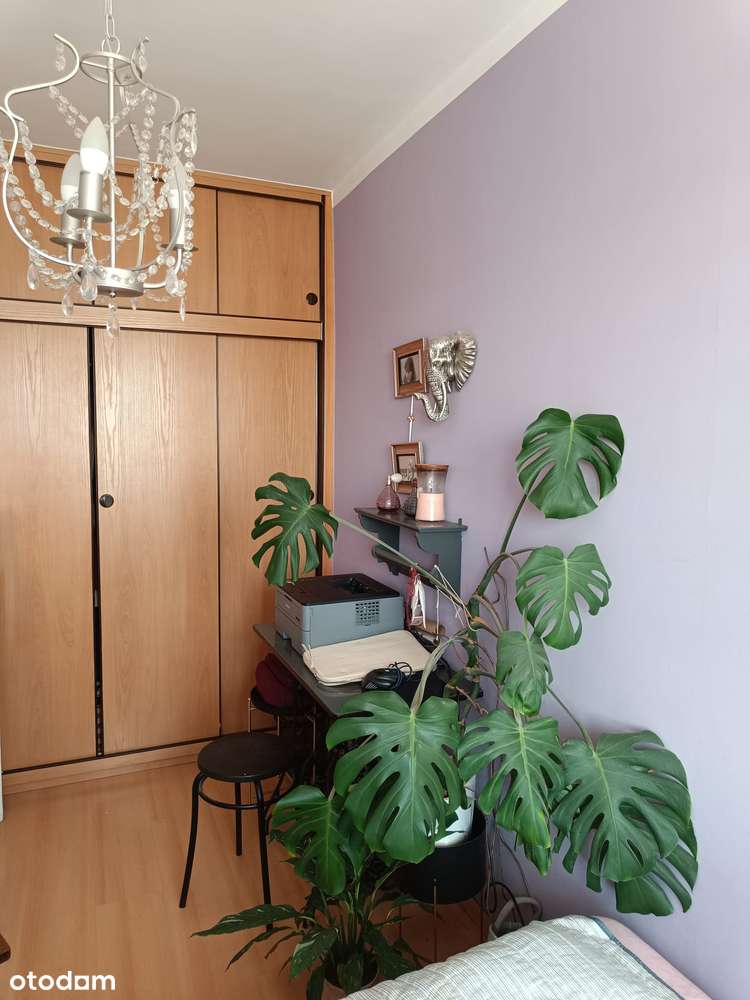 3 pokoje| 47,2 m²| 4 piętro| osobna kuchnia| spółdzielczo-własnościowe - Pełny obrazek: 5/15