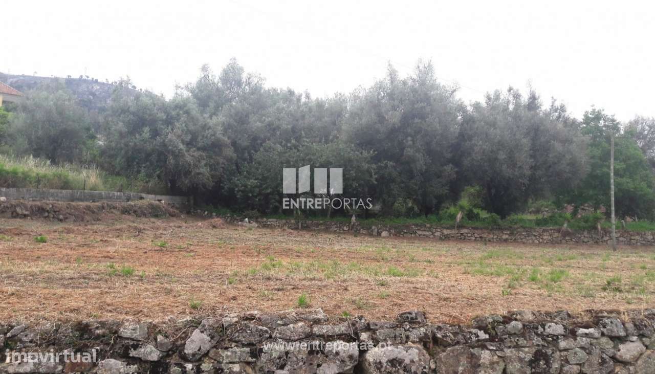 Venda de terreno, Barroselas, Viana do Castelo - Grande imagem: 3/30