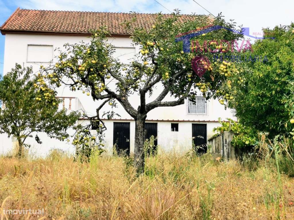 Moradia T3 com garagem, anexos e terreno com agua em Pedrogão Grande - Grande imagem: 2/49