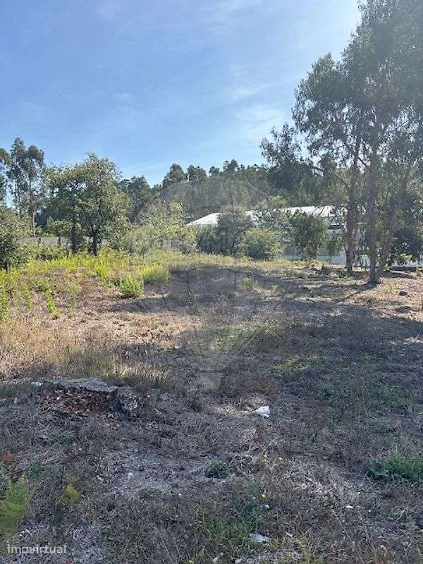 Terreno  para venda - Grande imagem: 5/14