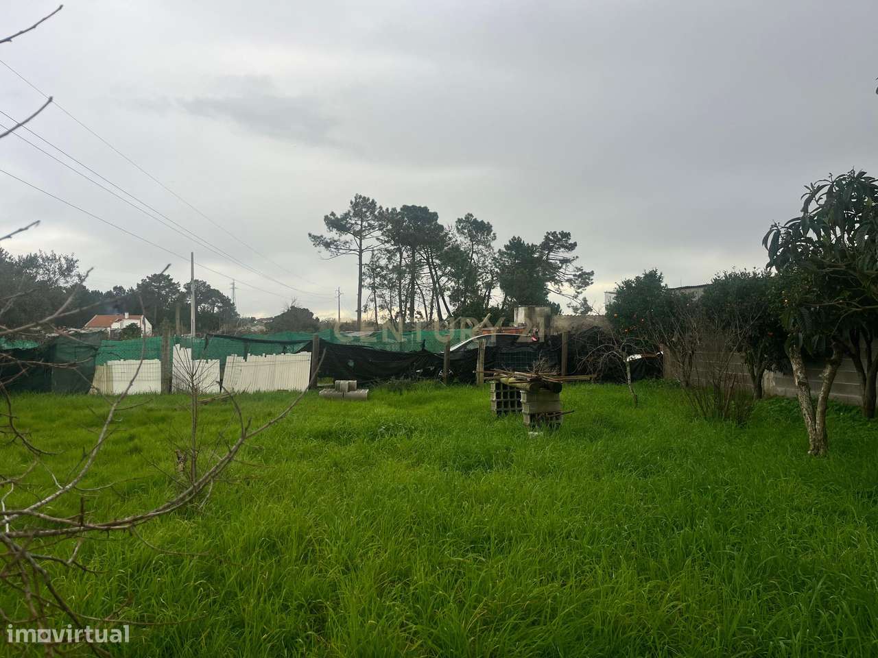 Terreno Rústico – Parcela de 1.200 m² em Pinhal das Formas - Quinta do - Grande imagem: 4/8